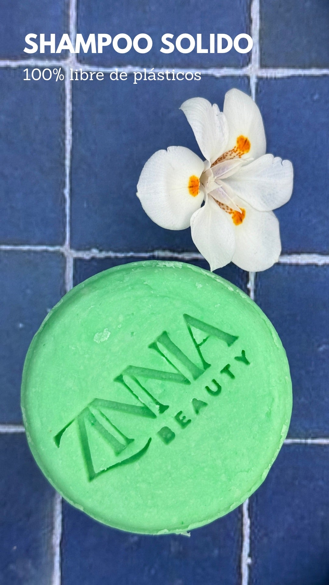 🌿 Shampoo de Crecimiento