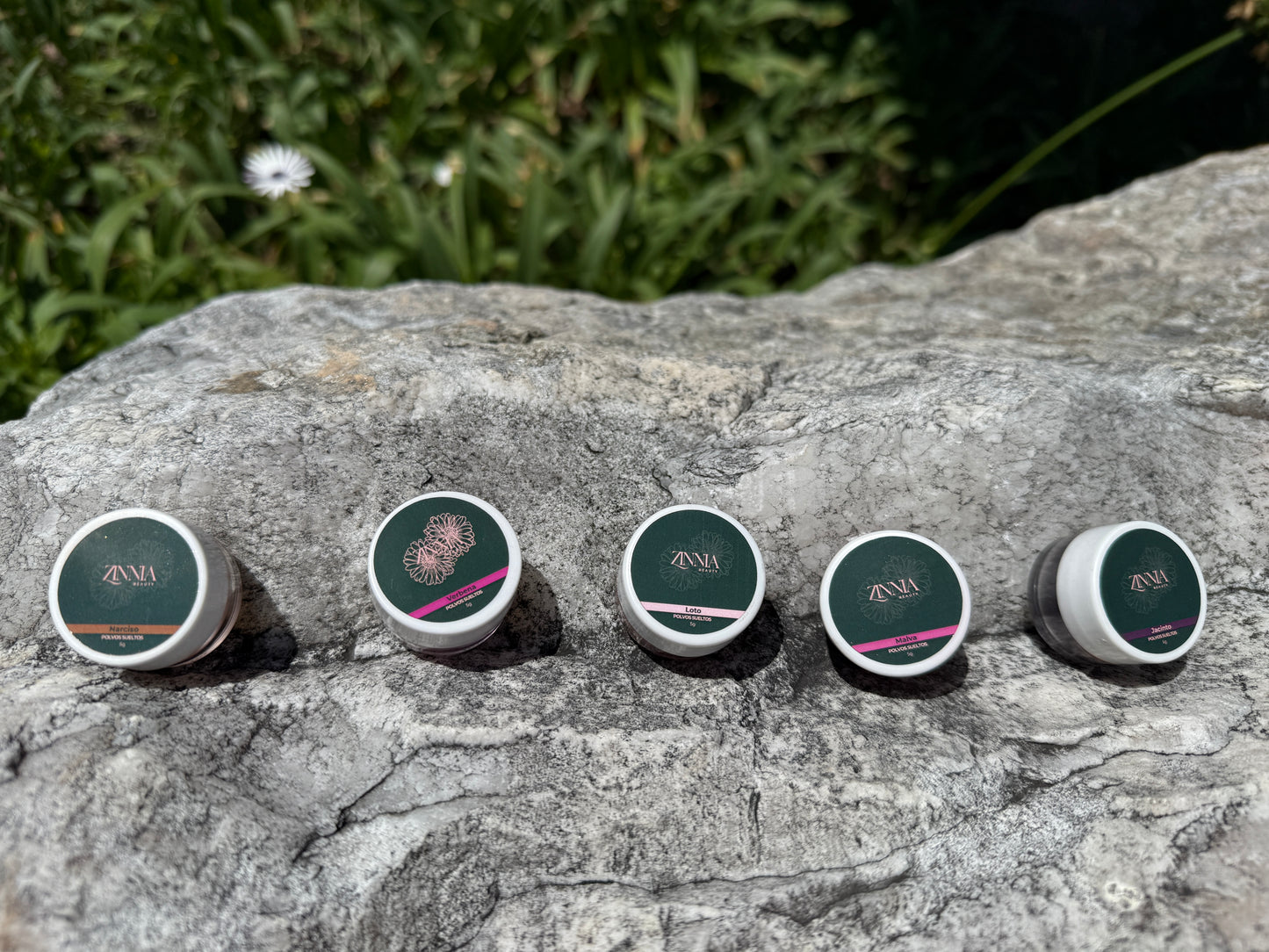 🌿 Polvos Sueltos ojos y mejillas